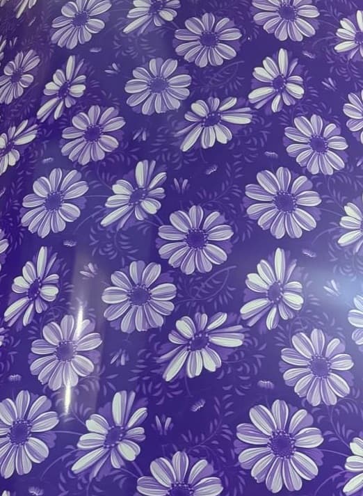 VIOLET-WHITE-FLR - D6