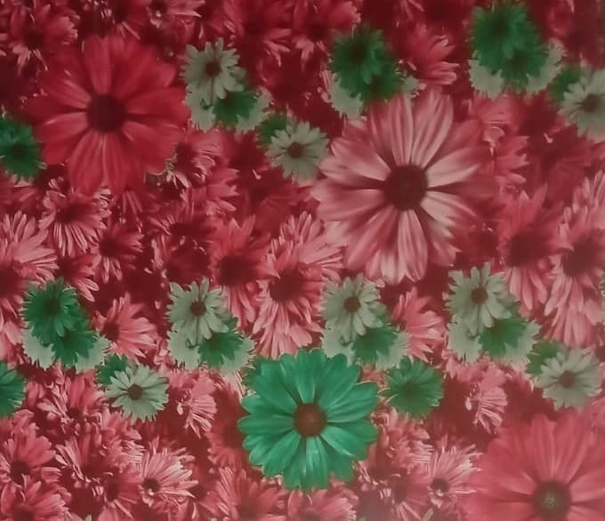 RED AND GREEN FLR - D8